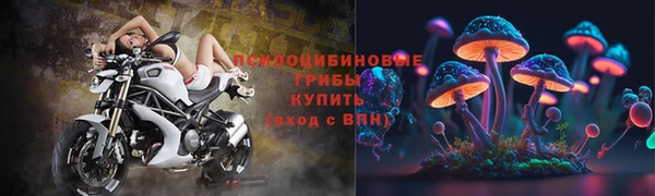 скорость Ельня