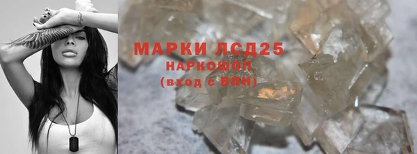 стаф Баксан