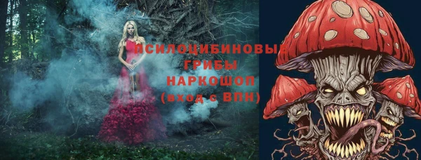 крисы Елизово