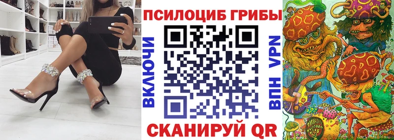 KRAKEN как зайти  Спасск-Дальний  Галлюциногенные грибы Cubensis 