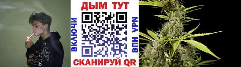 где можно купить наркотик  Спасск-Дальний  Каннабис Bruce Banner 